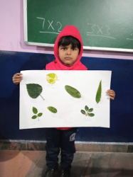 Elite Play School Galley Image 4
