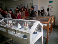 Dhruva Public School Galley Image 2