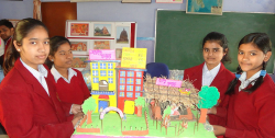 Jawahar Navodaya Vidyalaya Gallery Image 2