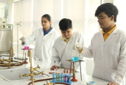 DELHI INTERNATIONAL SCHOOL Galley Image 4