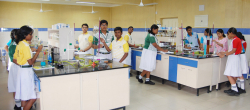 DELHI PUBLIC SCHOOL Gallery Image 2
