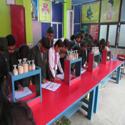 SDM Model School Gallery Image 4