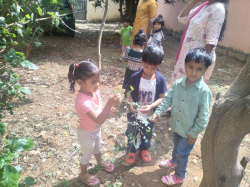 Gandhi Global Kids Galley Image 4