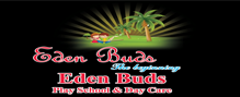 Best Day Care Centres in Perambur, Chennai, Eden Buds International Play School, No 30, 2nd street, Somanathapuram, Kolathur, Somanathapuram,Kolathur, Chennai