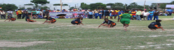 Jawahar Navodaya Vidyalaya Gallery Image 3