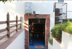 EURO KIDS Vasant Kunj Galley Image 2