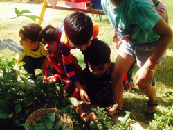 Explorers Playschool and Day Care Galley Image 4