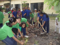 Jawahar Navodaya Vidyalaya Gallery Image 2