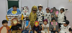 Crazy Kids Galley Image 3