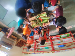 Rays Montessori House of Children Galley Image 4
