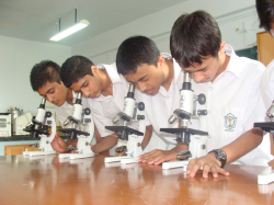 Delhi Public School Galley Image 2