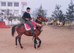 పాఠశాల గాలీ చిత్రం