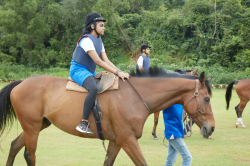 ಶಾಲೆಯ ಗ್ಯಾಲಿ ಚಿತ್ರ