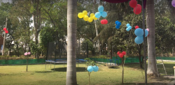 Saplings Play School Galley Image 4
