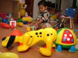 FARO PLAY SCHOOL Galley Image 4
