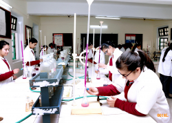 Birla Balika Vidyapeeth Galley Image 2