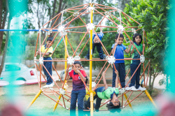 imagen de la galera de la escuela