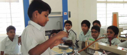Freedom International School Galley Image 2