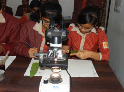 ಶಾಲೆಯ ಗ್ಯಾಲಿ ಚಿತ್ರ