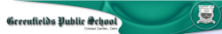 Schools in Seelampur, Delhi, Green Fields Public School, P-11, Navin Shahdara, Shahdara, Delhi