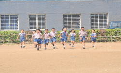 Greenfingers Global School Galley Image 4