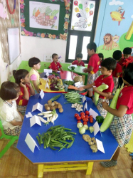 ಶಾಲೆಯ ಗ್ಯಾಲಿ ಚಿತ್ರ