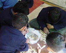 Hillgrange Preparatory School Galley Image 4