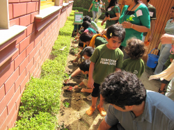 imagen de la galera de la escuela