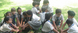 Indraprastha World School Galley Image 2