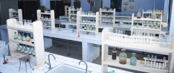 Ingraham English Medium School Galley Image 4