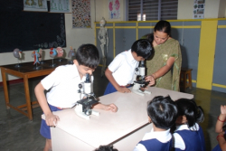 ಶಾಲೆಯ ಗ್ಯಾಲಿ ಚಿತ್ರ