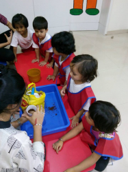 ಶಾಲೆಯ ಗ್ಯಾಲಿ ಚಿತ್ರ