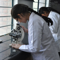 Konark Public School Galley Image 2