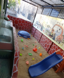 KIDZEE Arekere Galley Image 3