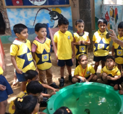 KIDZEE Galley Image 4
