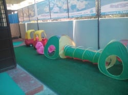KIDZEE Galley Image 4