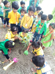 স্কুল গ্যালি ছবি