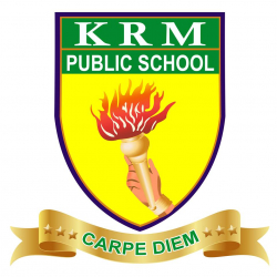 CBSE Schools in Vyasarpadi, Chennai, KRM Public School, Block No: 11, Shanthi Nagar, 2nd Lane, Sembium(Perambur), Jamaliya Nagar,Perambur, Chennai