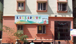 Lilliputs Pre-School Galley Image 2