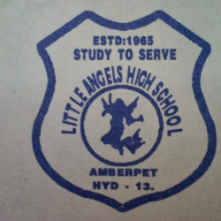State Board Schools in D D Colony, Hyderabad, LITTLE ANGELS HIGH SCHOOL, 2-3-70/32, Amberpet Main Rd, Opp Burj galli, Near Mahankali Temple, Poornodhaya Colony, MCH Quarters, Amberpet, MCH Quarters,Amberpet, Hyderabad