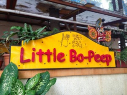 Little Bo Peep Gallery Image 1