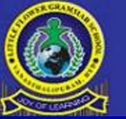 Little Flower Grammar School, Arunodaya Colony,Vanasthalipuram, Hyderabad