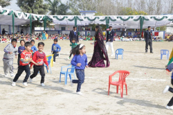 স্কুল গ্যালি ছবি