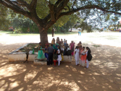 ಶಾಲೆಯ ಗ್ಯಾಲಿ ಚಿತ್ರ