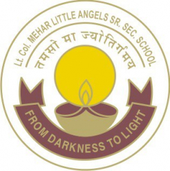 Schools in Bali Nagar, Delhi, Lt. Col. Mehar Little Angels Senior Secondary School, B-5 Block, Paschim Vihar, Block BG 3,Paschim Vihar, Delhi
