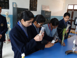 Maharan Pratap Senior Secondary School Galley Image 4