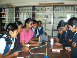 CBSE Schools in Girinagar, Bangalore, Martin Luther Public School, No.208, 15th main road,Nagendra block, girinagar,Banashankari 3rd stage, Girinagar, Bengaluru