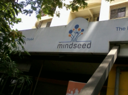 Mindseed Galley Image 2