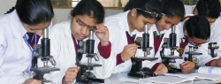MODERN CHILD PUBLIC SCHOOL Galley Image 4