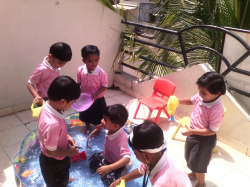 NESTLINGS PRESCHOOL Galley Image 4